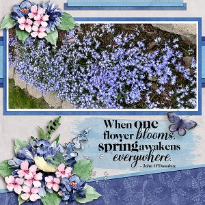 Spring-Flowers