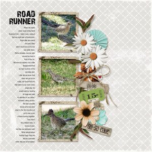 Road Runner