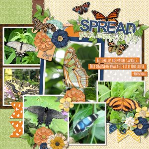 Butterfly garden