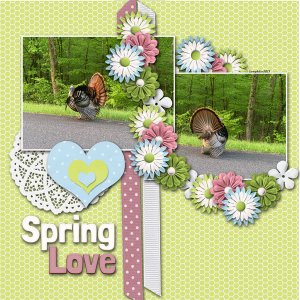 Spring Love