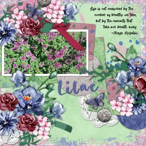Lilac