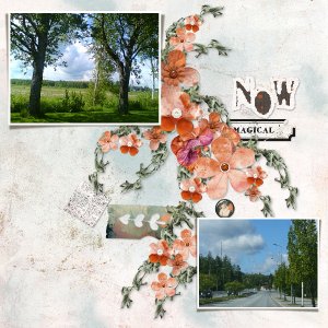 Around the city