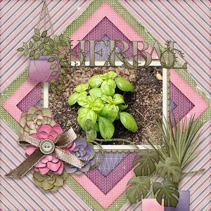Herbal
