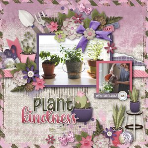Plant Kindness