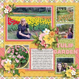 Tulip garden