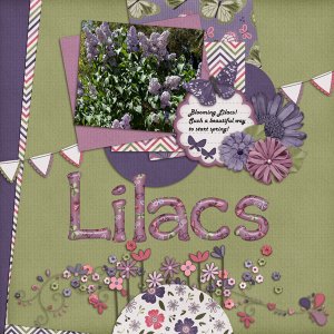 Lilacs