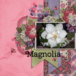 Magnolia
