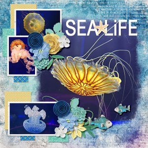 Sea life