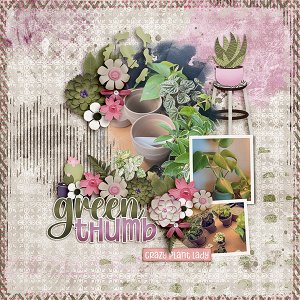 Plants