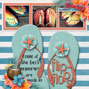 Flip Flops