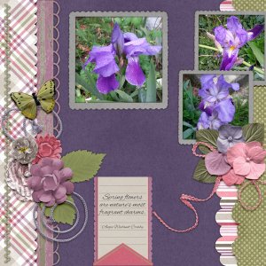 Spring Flowers