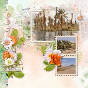 Siwa