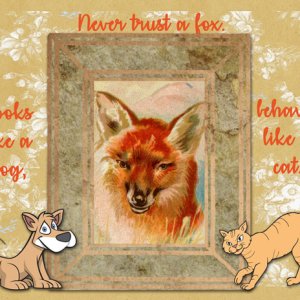 Foxy