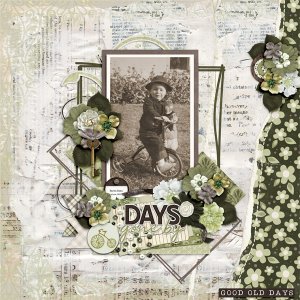 Days Gone By