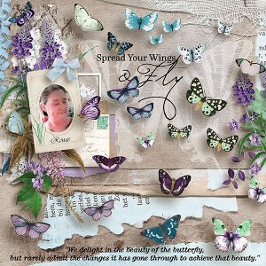 Renae - butterflies