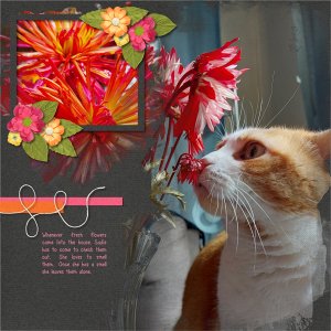 Smell the Flowers