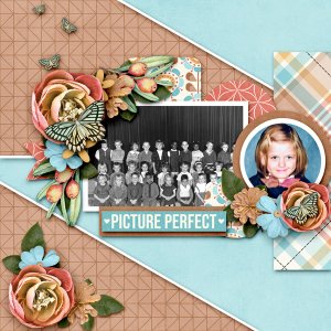 Picture Perfect