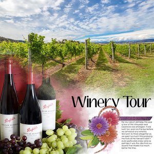 Winery Tour