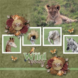 Wild ones