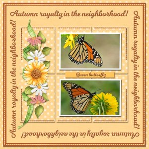 Autumn Royalty in the neighborhood!