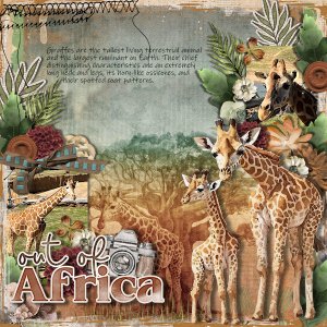 DLPatt_OutOfAfrica_web
