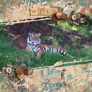 Seattle-Zoo