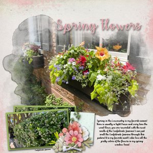 Spring Flowers