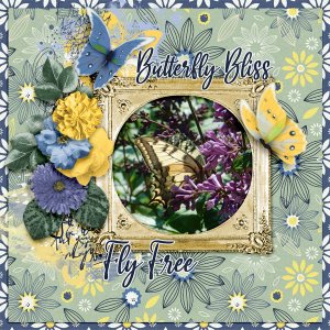 Butterfly-bliss