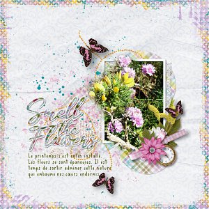 B57_BloomAndShine_WaByAimeeh600