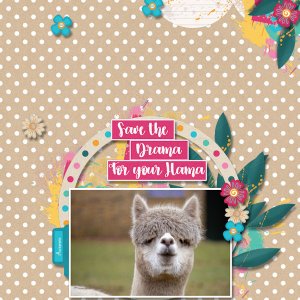Drama Llama
