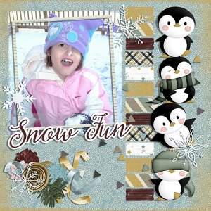 snow fun