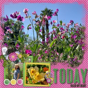 Elaine's Garden