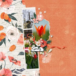 Springs kiss