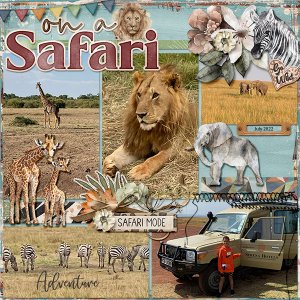 On safari