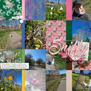 Spring walk in May