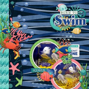 Born To Swim