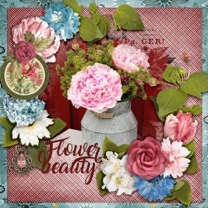 Flower-beauty1
