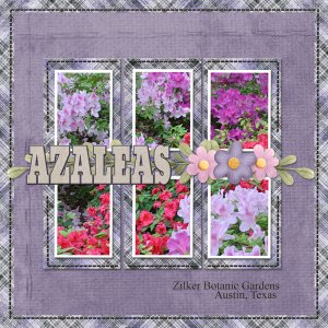 AZALEAS