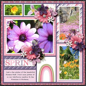 Spring Flowers