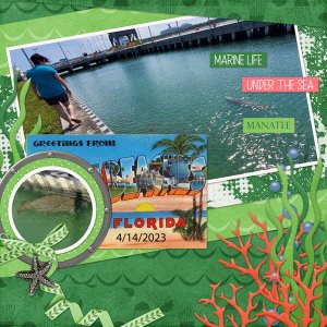 Sealife-Kit-Temp-The-Big-Picture-vol-37-1