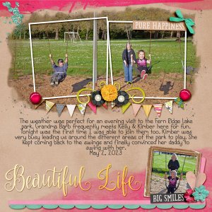 Beautiful Life