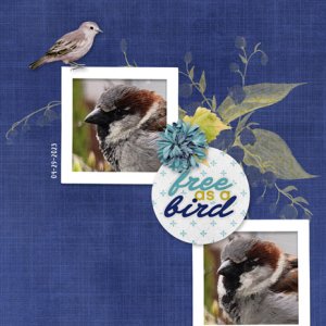 Free as a Bird