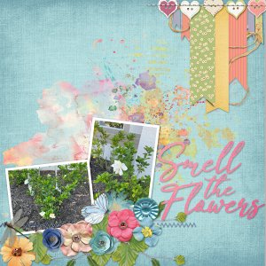 Smell the Flowers