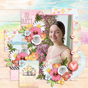 Spring Snapshots