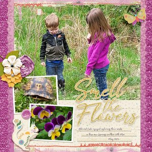 Smell The Flowers