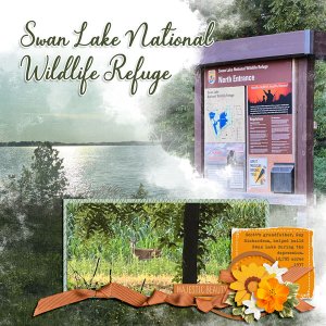 Swan Lake - Missouri Roadtrip - 7.5.2022