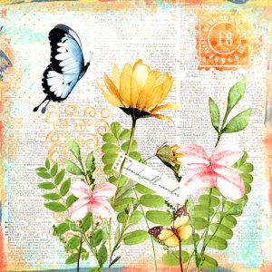 BUTTERFLIES ARE FREE