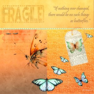 BUTTERFLIES ARE FREE