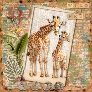 WILD AND FREE