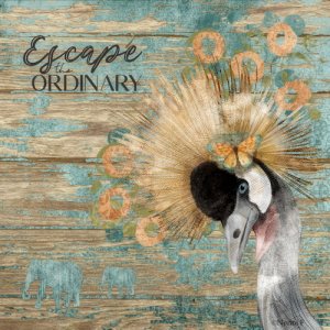 BE EXTRA ORDINARY
